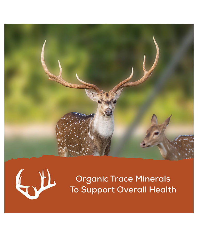 organic trace minerals to support overall health