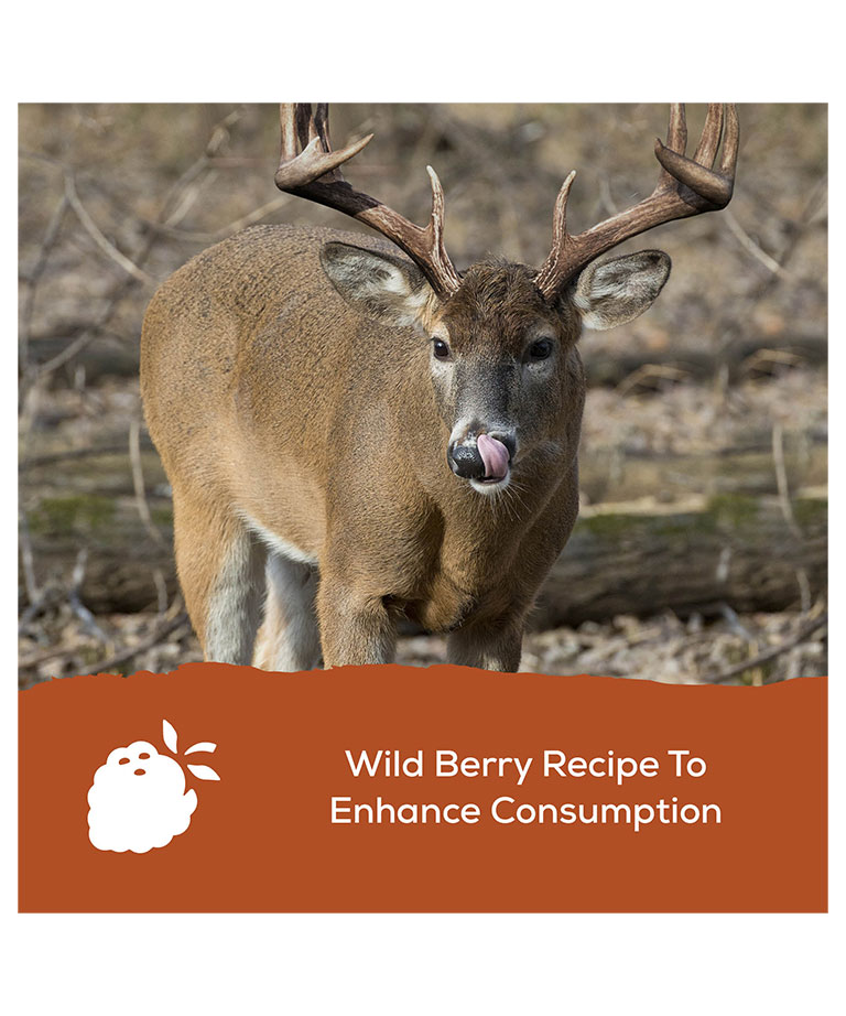 wild berry recipe to enhanced consumption