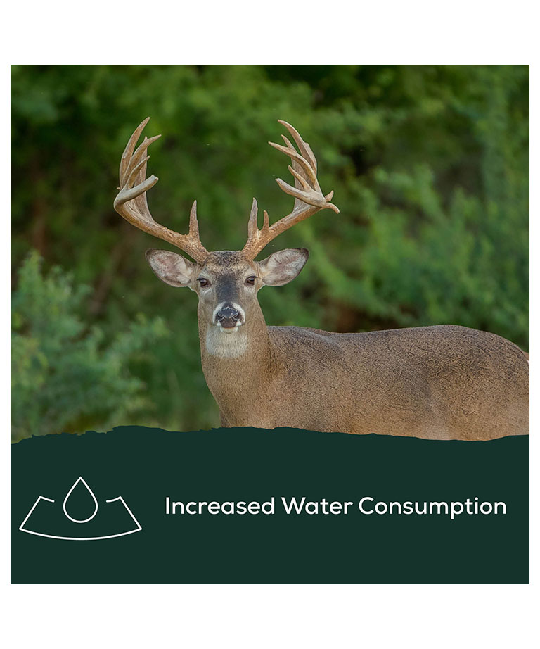 increased water consumption