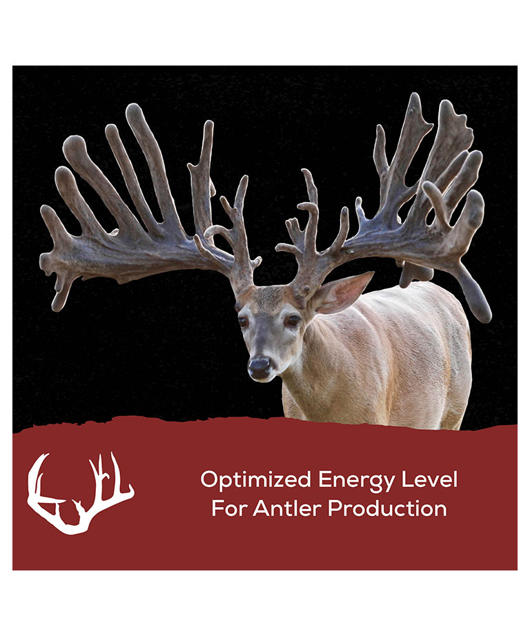 optimized energy level for antlers