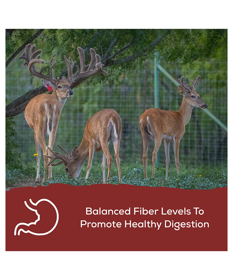 balanced fiber levels for digestion