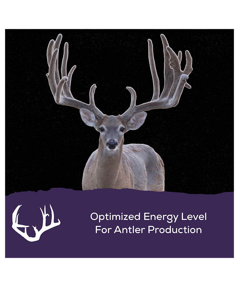 optimized energy level for antler production