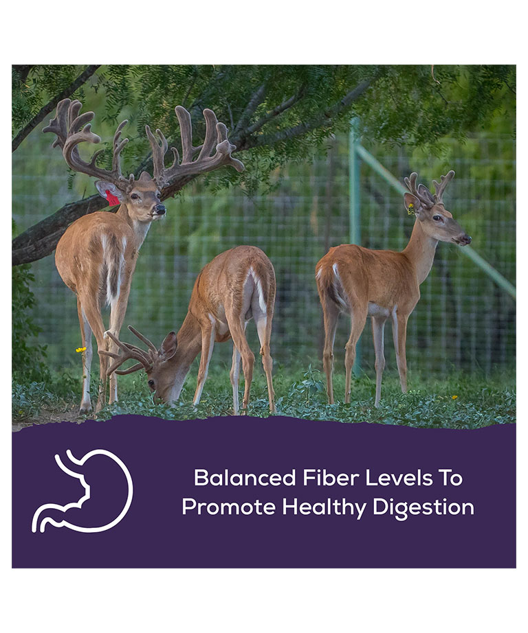 balanced fiber levels to promote healthy digestion