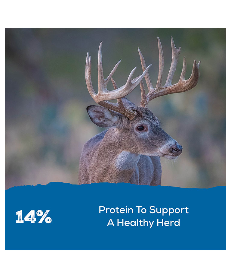 protein to support a healthy herd