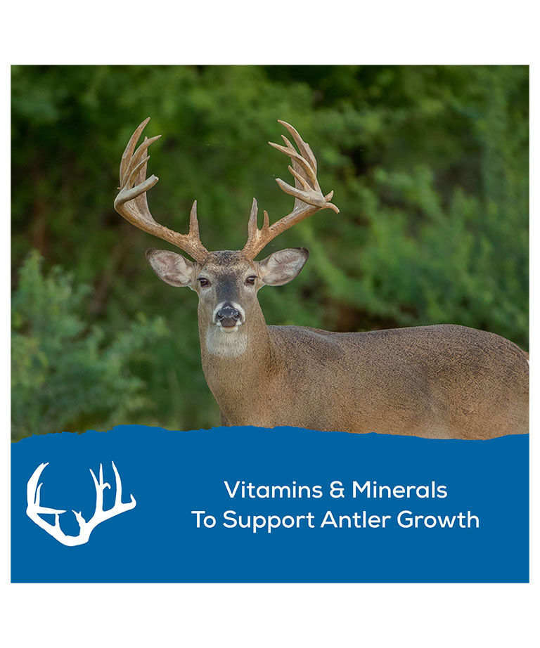 vitamins and minerals to support antlers