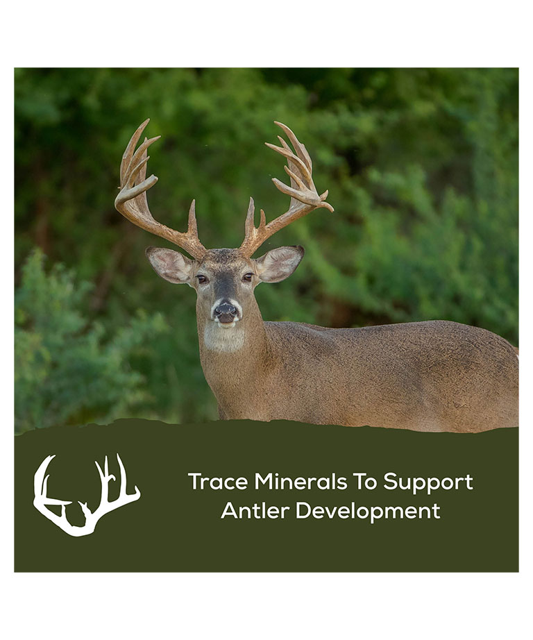 trace minerals for antlers