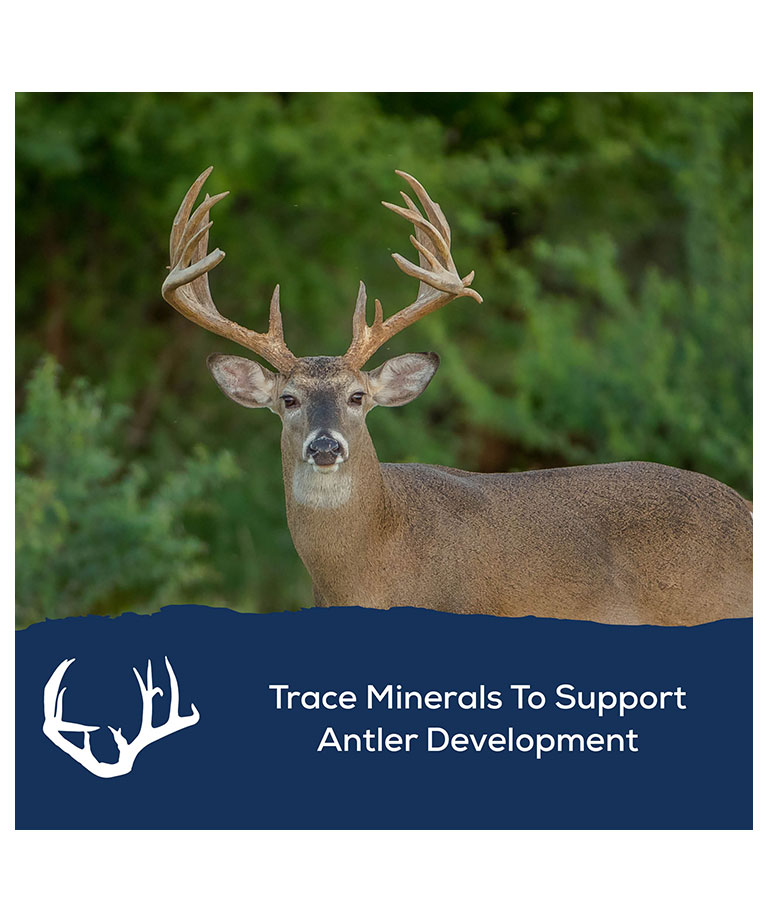 trace minerals for antlers