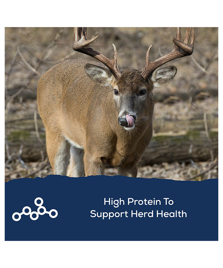 high protein to support herd health