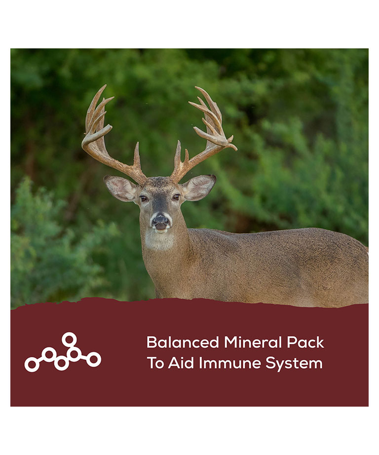 balanced mineral pack to aid immune