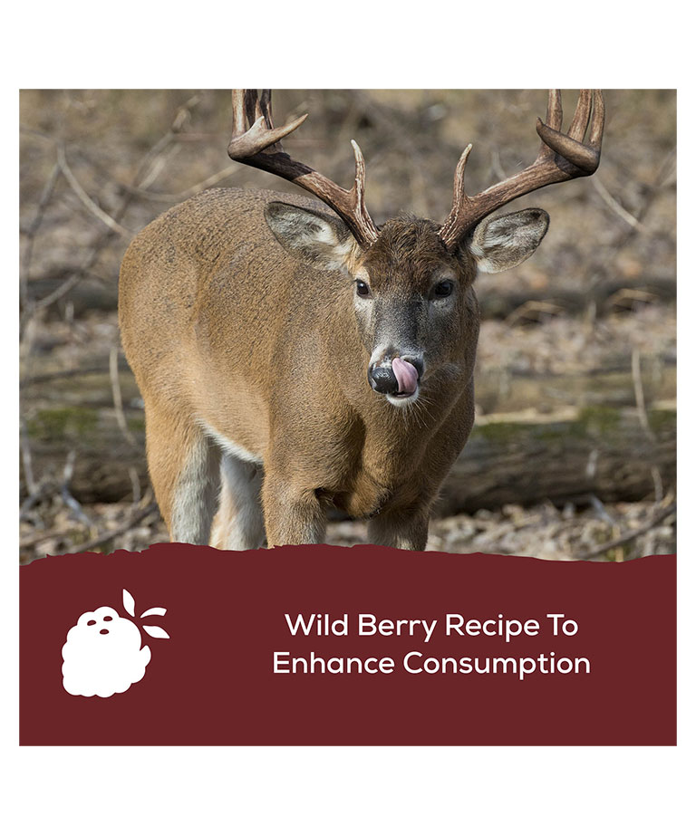 wild berry recipe to enhance consumption