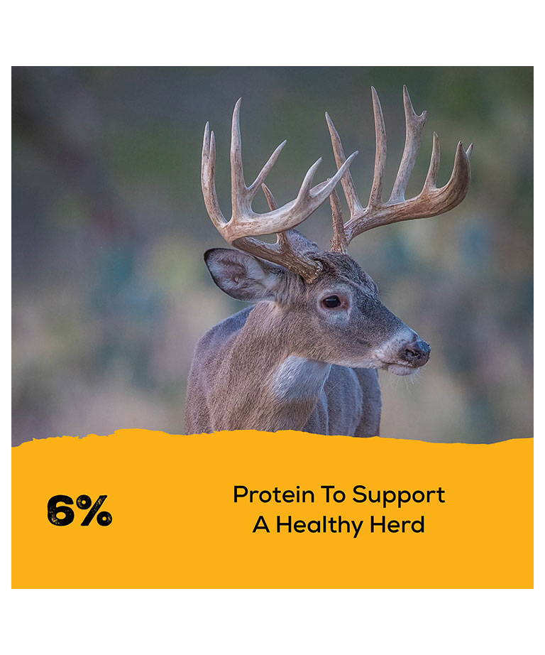 six percent protein